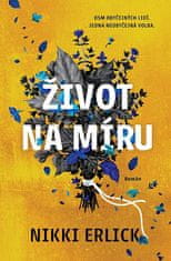 Nikki Erlick: Život na míru