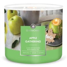 Goose Creek Svíčka 0,41 KG APPLE GATHERING , aromatická v dóze, 3 knoty