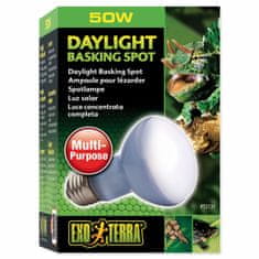 Exoterra Žárovka Exo Terra Daylight Basking Spot 50W