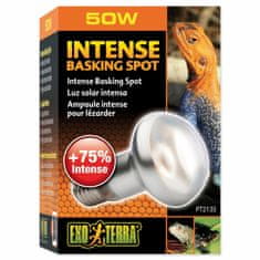 Exoterra Žárovka Exo Terra Intense Basking Spot 50W