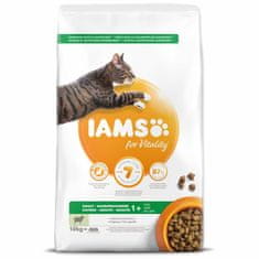 IAMS Krmivo Cat Adult Lamb 10kg 