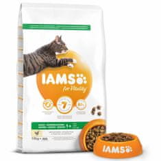 IAMS Krmivo Cat Adult Chicken 10kg 