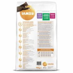 IAMS Krmivo Cat Adult Lamb 10kg 