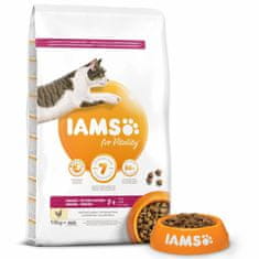 IAMS Krmivo Cat Senior Chicken 10kg 