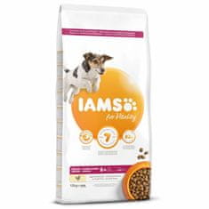 IAMS Krmivo Dog Senior Small & Medium Chicken 12kg 