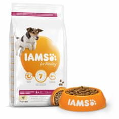 IAMS Krmivo Dog Senior Small & Medium Chicken 3kg 