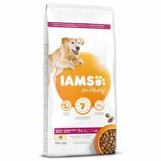 IAMS Krmivo Dog Senior Large Chicken 12kg 