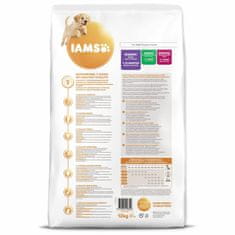 IAMS Krmivo Dog Puppy Large Chicken 12kg 