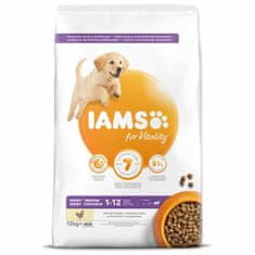 IAMS Krmivo Dog Puppy Large Chicken 12kg 