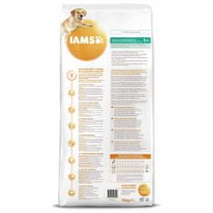 IAMS Krmivo Dog Adult Weight Control Chicken 12kg 