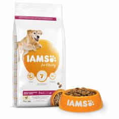 IAMS Krmivo Dog Senior Large Chicken 3kg 