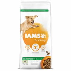 IAMS Krmivo Dog Adult Large Lamb 12kg 