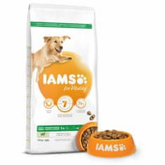 IAMS Krmivo Dog Adult Large Lamb 12kg 