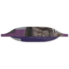 Magic cat Kočkolit Magic Pearls Lavender 16l/6,3kg