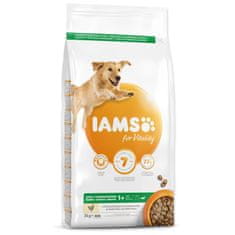 IAMS Krmivo Dog Adult Large Chicken 3kg