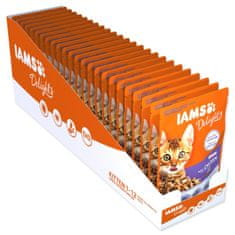 IAMS Kapsička Delights Kitten kuře v omáčce 85g