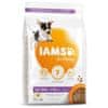 IAMS Krmivo Dog Puppy Small & Medium Chicken 3kg