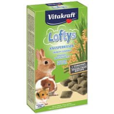 Vitakraft Pochoutka s kopřivami, polštářky 100g