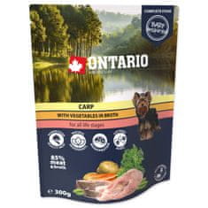 Ontario Kapsička kapr se zeleninou ve vývaru 300g