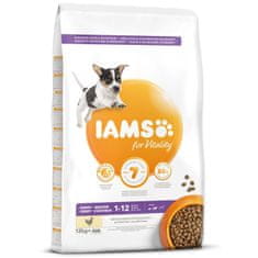 IAMS Krmivo Dog Puppy Small & Medium Chicken 12kg