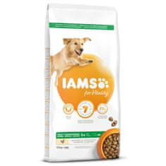 IAMS Krmivo Dog Adult Large Chicken 12kg