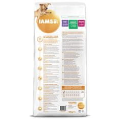 IAMS Krmivo Dog Adult Large Chicken 12kg