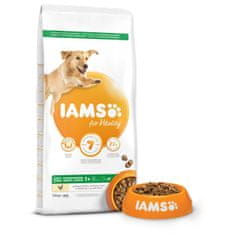 IAMS Krmivo Dog Adult Large Chicken 12kg