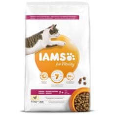 IAMS Krmivo Cat Senior Chicken 10kg