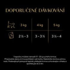 Sheba kapsičky masový výběr ve šťávě pro dospělé kočky 48 x 85g