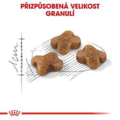 Royal Canin Kitten 2 kg