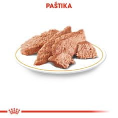 Royal Canin kapsička Jezevčík 12 x 85 g