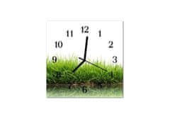 Glasdekor Nástěnné hodiny tráva bílé pozadí 30x30cm - Materiál: plexi