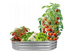 sarcia.eu Zeleninový a květinový záhon, oválný, pozinkovaný, 180x90x30 cm 