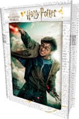 Prime 3D Puzzle Harry Potter: Harry 3D 300 dílků