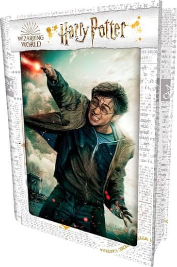 Prime 3D Puzzle Harry Potter: Harry 3D 300 dílků