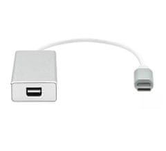 ProXtend adaptér/redukce USB-C na Mini DP stříbrná, 20cm