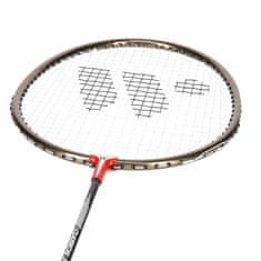 WISH Badmintonový set Alumtec 316k