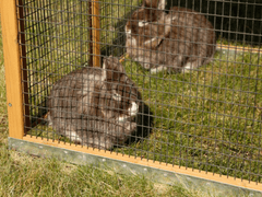 Kerbl Výběh pro králíky, hlodavce 115x85x90 cm