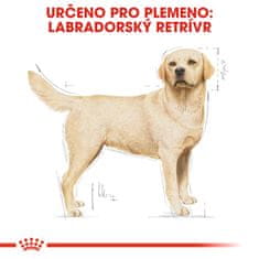 Royal Canin Labrador Adult 12 kg