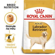 Royal Canin Labrador Adult 12 kg