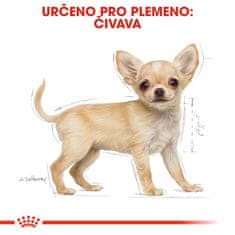 Royal Canin Chihuahua Puppy 1,5 kg