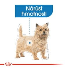 Royal Canin Mini Light Weight Care 3 kg