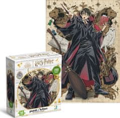 Dodo Toys Puzzle Harry Potter: Mladý kouzelník 250 dílků