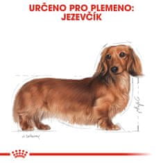 Royal Canin Dachshund Adult 7,5 kg