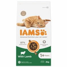 IAMS Krmivo Cat Adult Lamb 2kg 