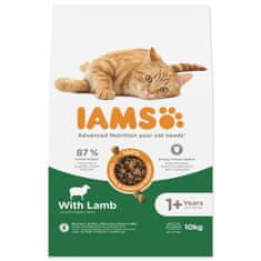 IAMS Krmivo Cat Adult Lamb 10kg