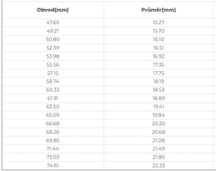 ewena Prsten z chirurgické oceli s lebkou, Velikost v mm: 18,5