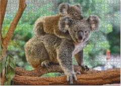 Dodo Toys Puzzle Koala s mládětem 1000 dílků