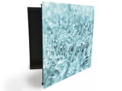 Glasdekor skříňka na klíče - detail orosené trávy - Otevírání: Pravé, Barva skříňky: Bílá