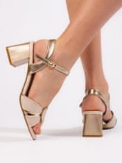 Amiatex Klasické sandály dámské hnědé na širokém podpatku + Ponožky Gatta Calzino Strech, odstíny hnědé a béžové, 37